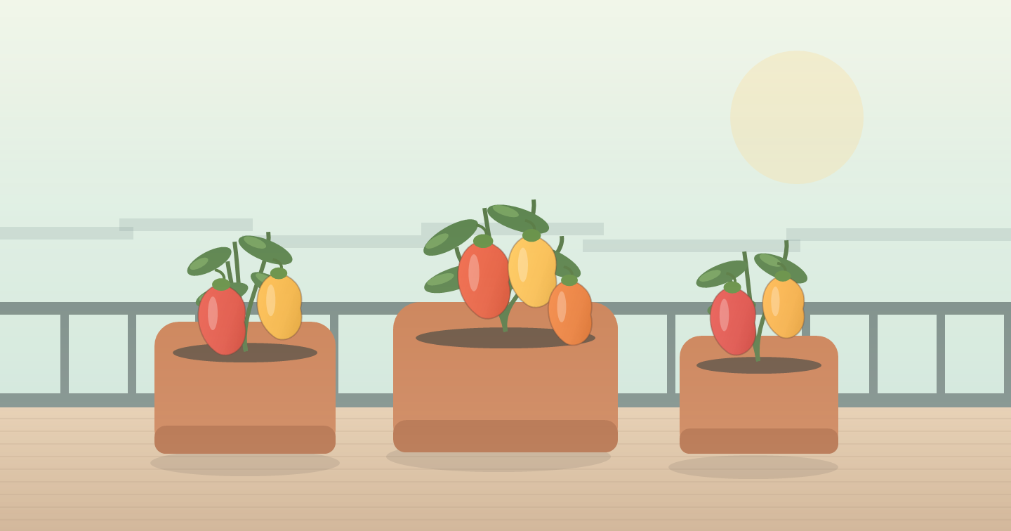 Illustration de poivrons rouges et jaunes en pot sur un balcon ensoleillé
