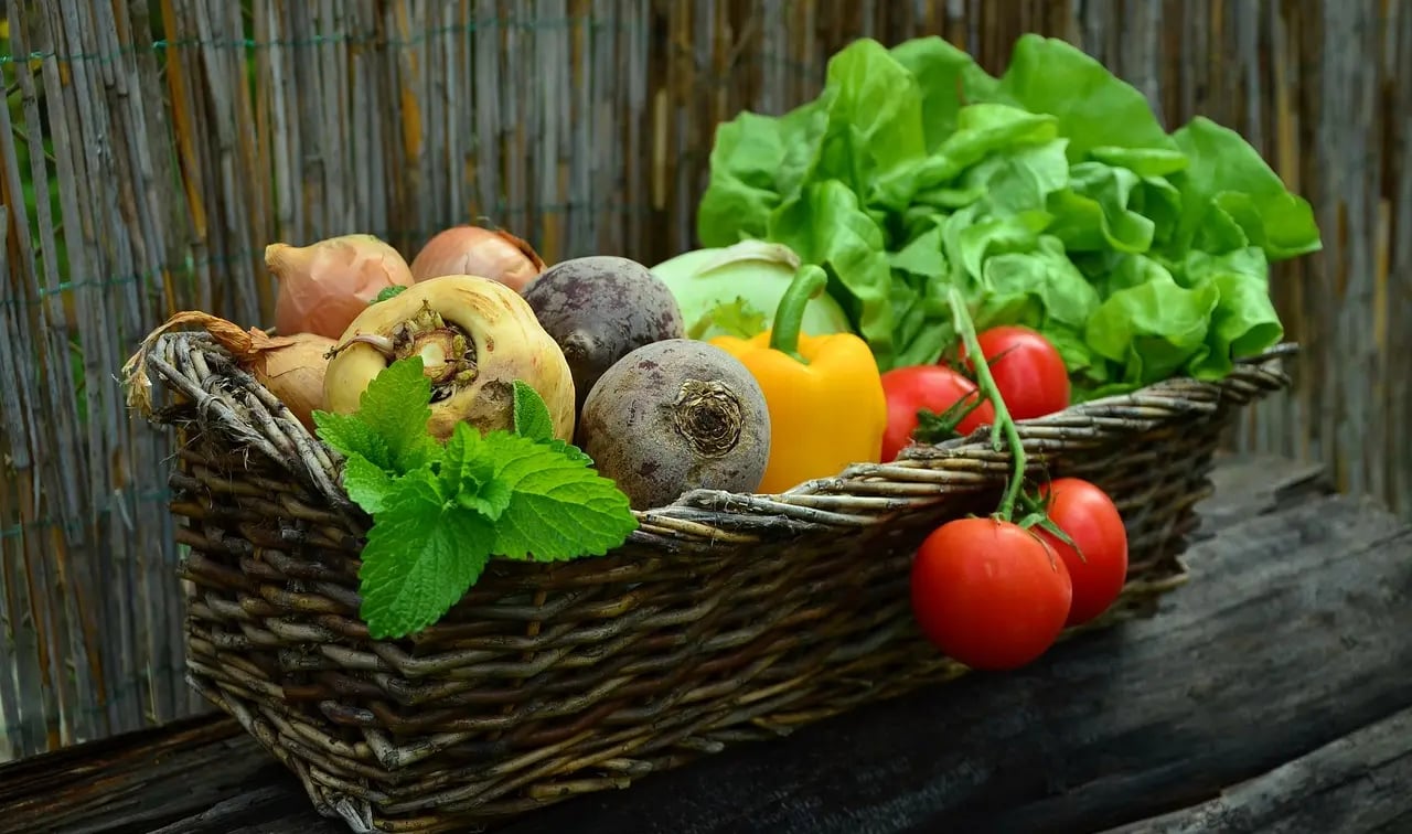 Sélection de légumes faciles cultivés en pot sur un balcon, avec laitues, tomates et radis